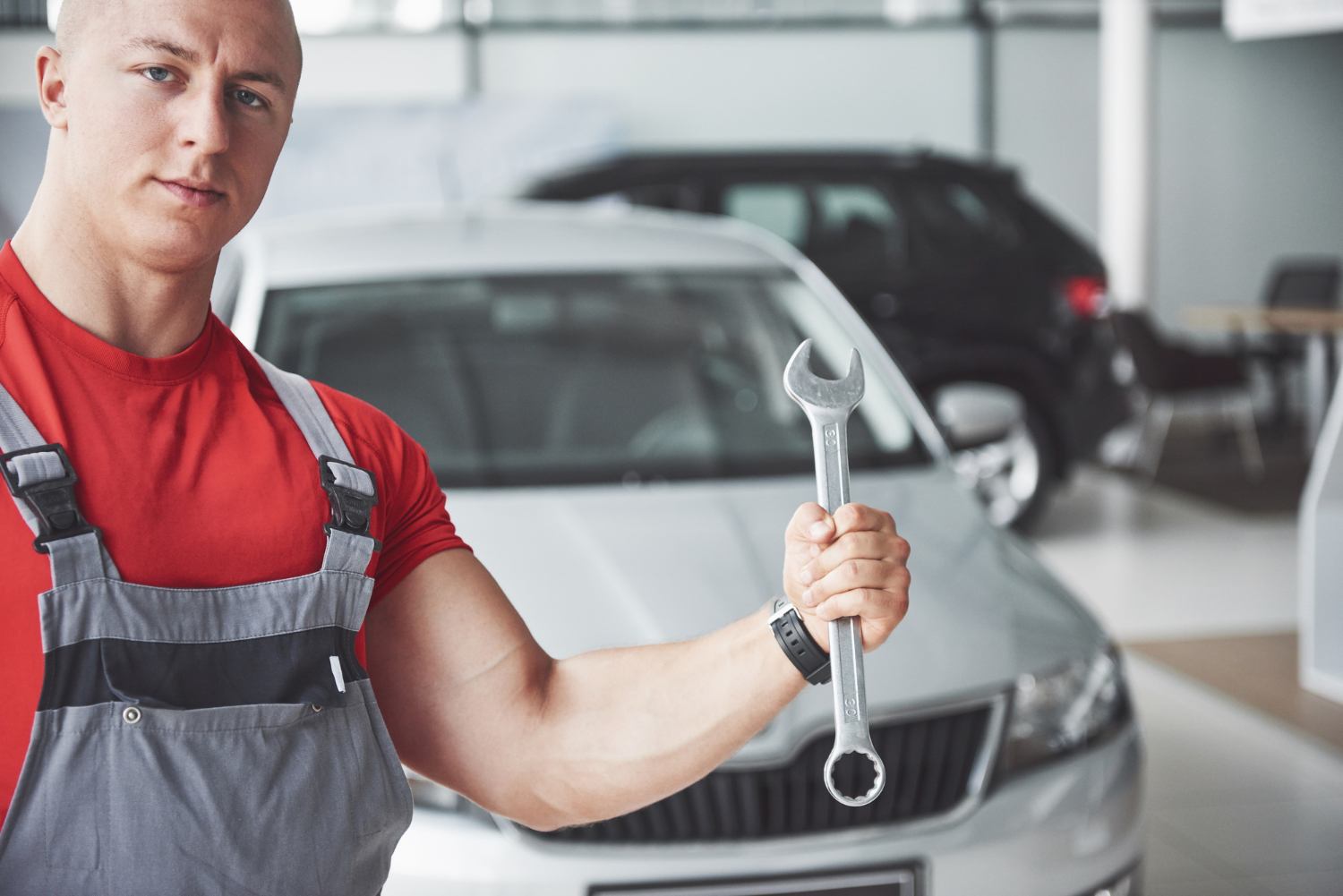 Serviços Online de Consultoria e Assessoria Automotiva